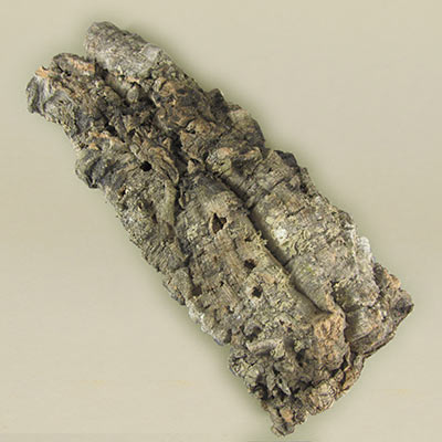 Cork bark for landscape modelling