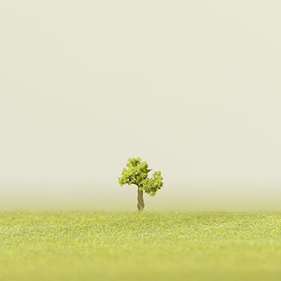 6mm light green deciduous model tree