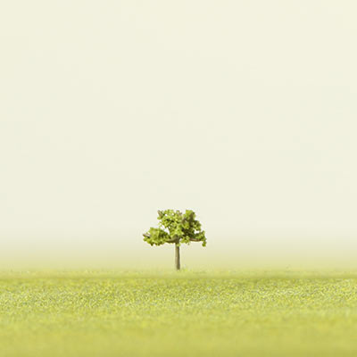 6mm medium green model tree