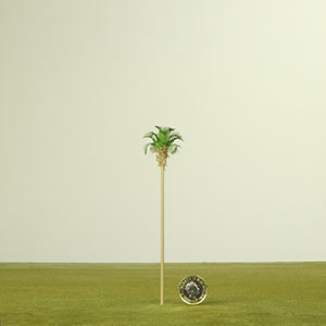 1:150 palm tree