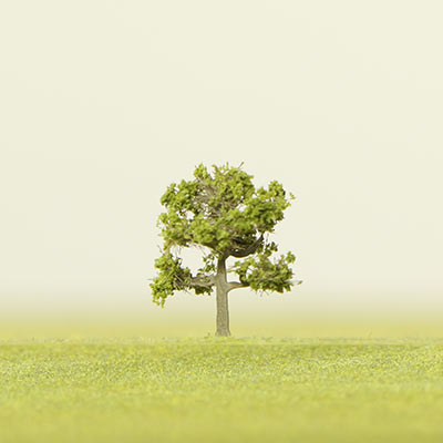 15mm light green deciduous model tree
