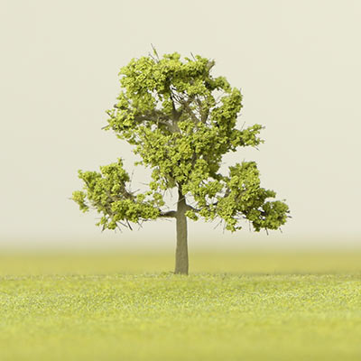 30mm light green deciduous model tree