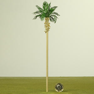 1:75 Palm Tree
