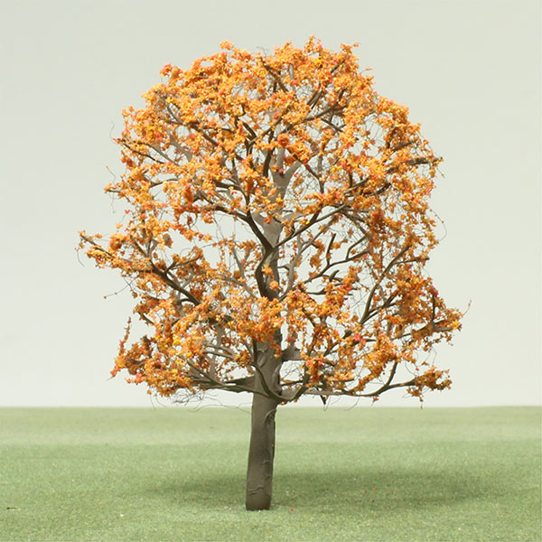 Maple species model trees