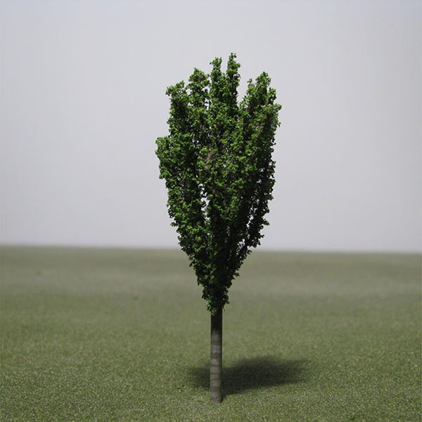 Norway maple model tree