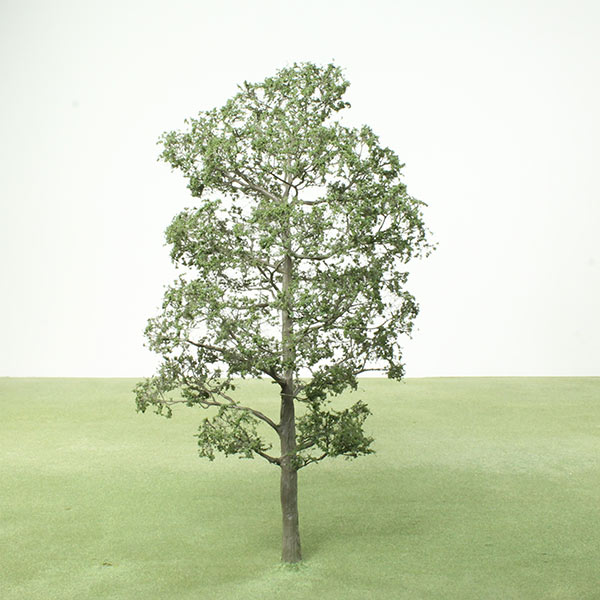 Silver maple model tree