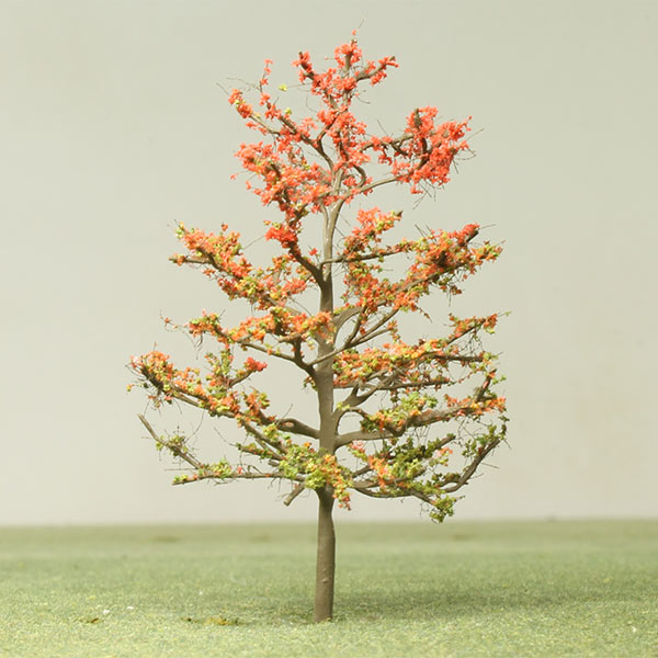 Korean maple model tree