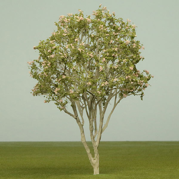 California buckeye model tree