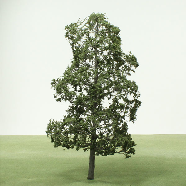 model alder tree