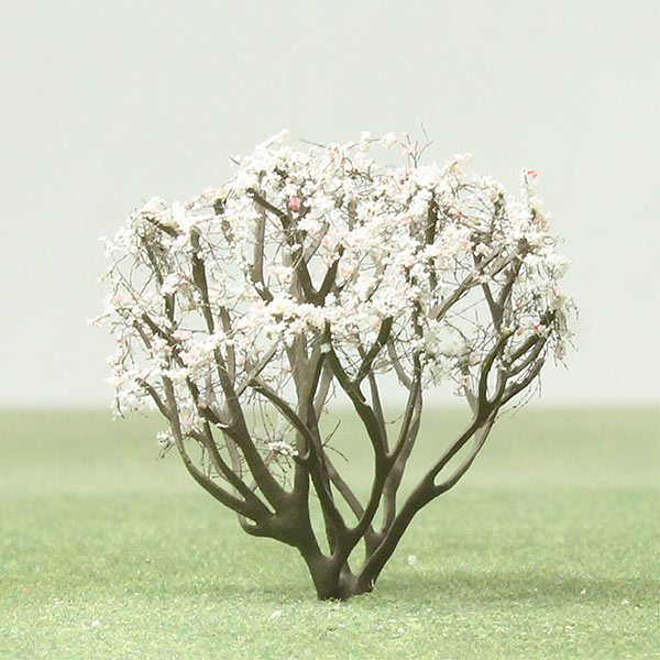 Serviceberry  model tree