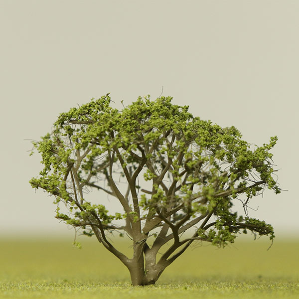 Serviceberry  model tree
