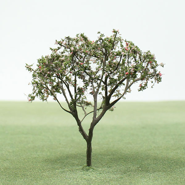 Western serviceberry model tree