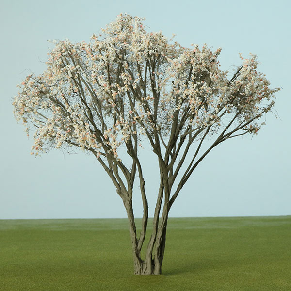 Juneberry / snowy mespilus / shadbush model tree
