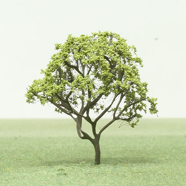 Common serviceberry / downy serviceberry model tree