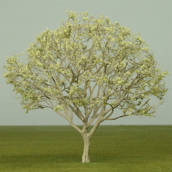 Bigberry manzanita model tree