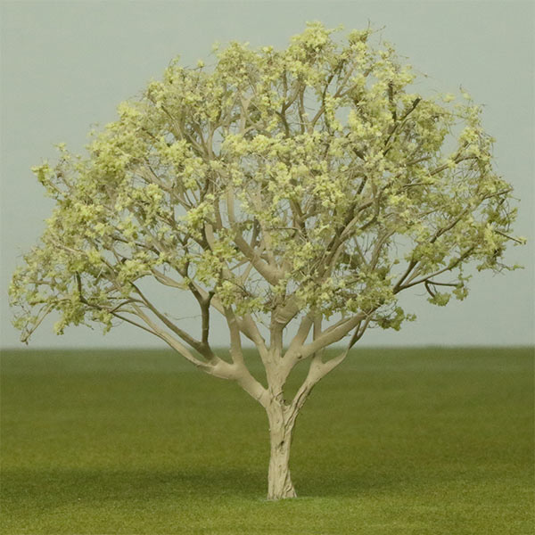 Bigberry manzanita model tree