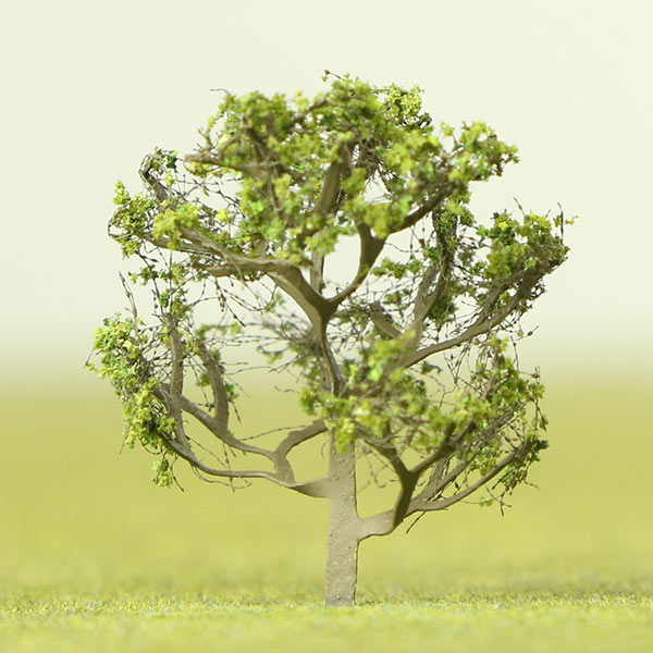 Neem model tree