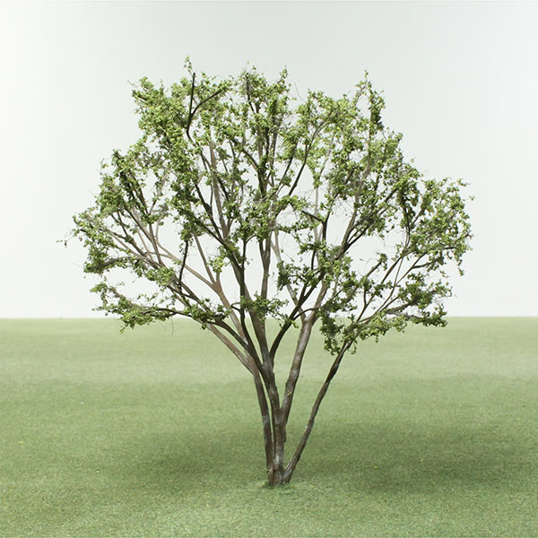 Multi-stem birch model tree