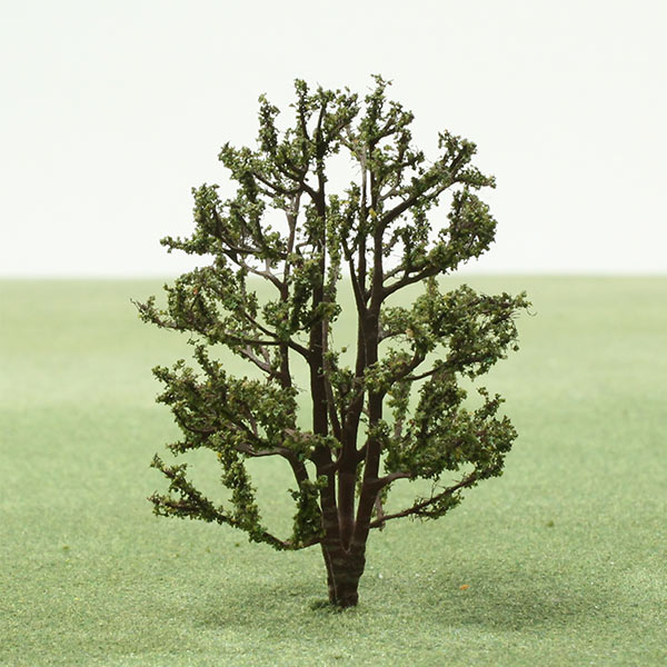 Chinese red birch model tree