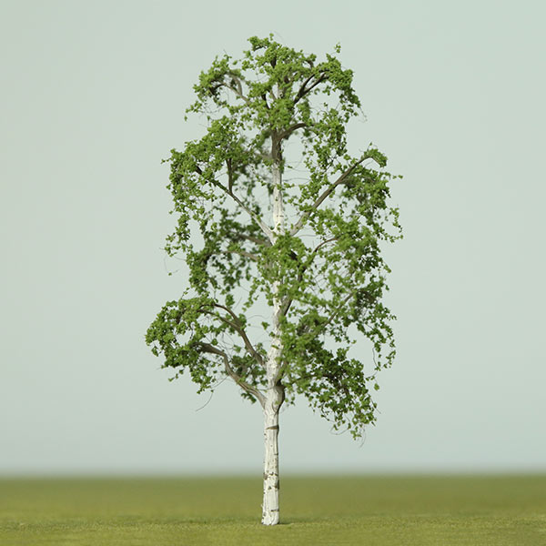 Silver birch model tree