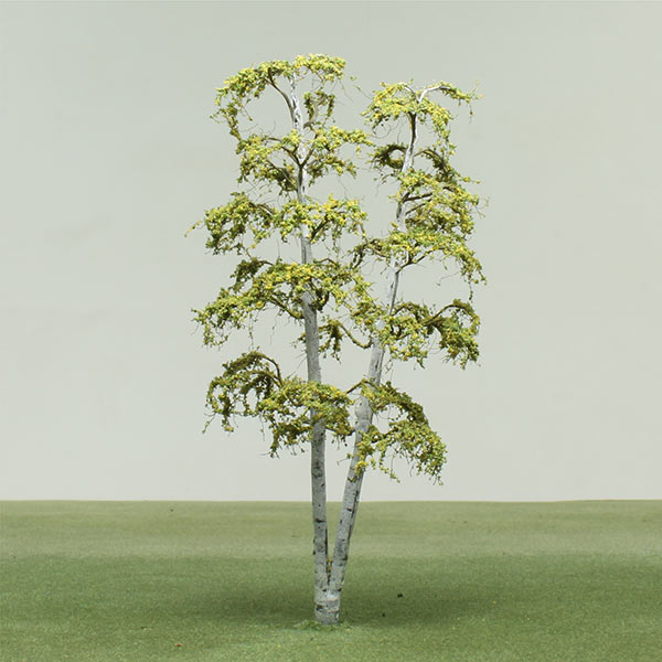 Model Birch trees