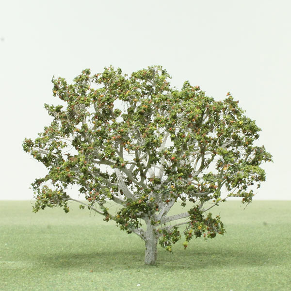 Common white birch model tree