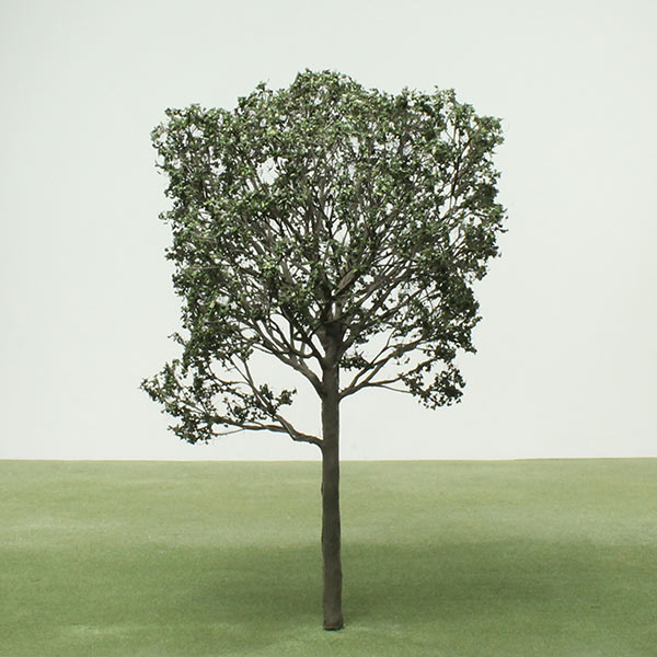 Olive model tree