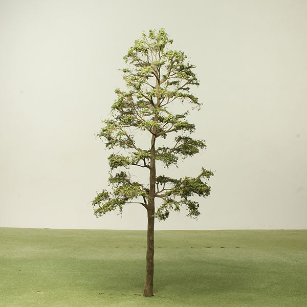 Black olive model tree