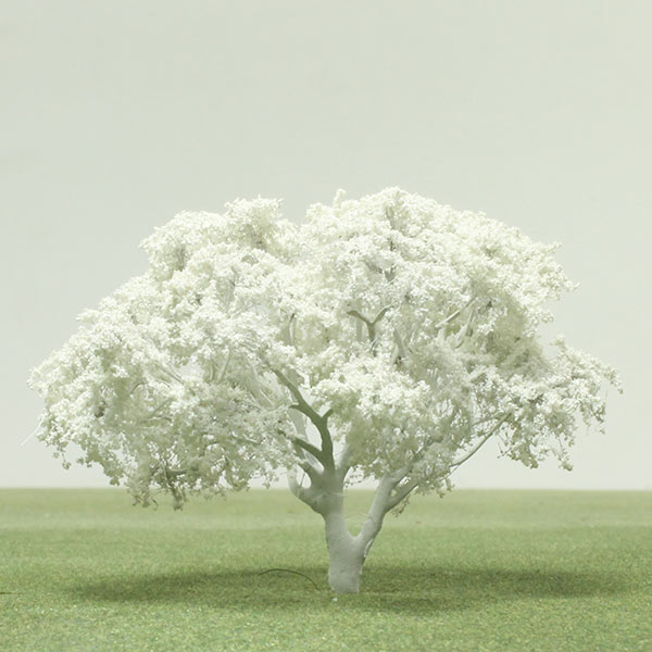Ivory curl model tree
