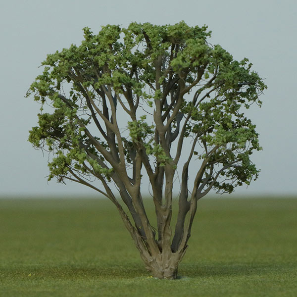 Bridalveil model tree