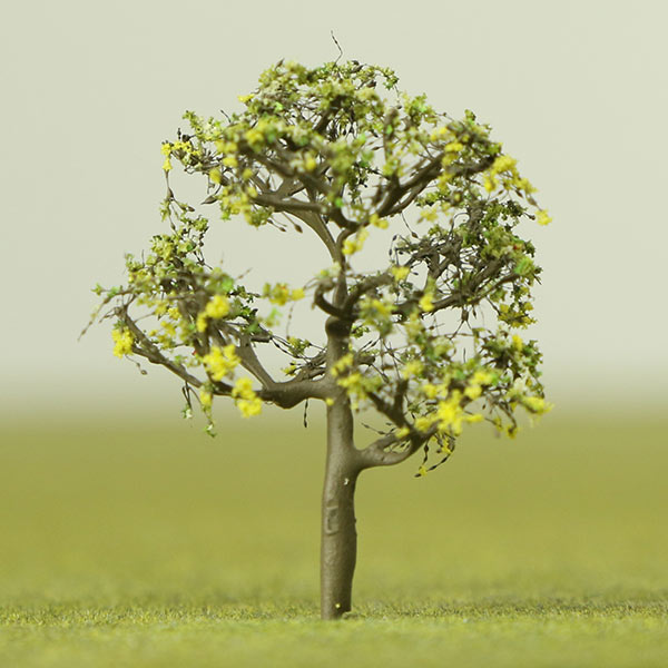 Indian laburnum model tree