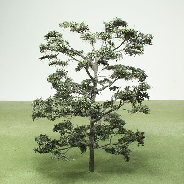 Model Cedar trees