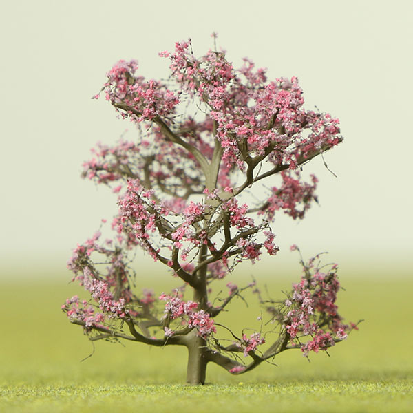 Redbud 'forest pansy' model tree