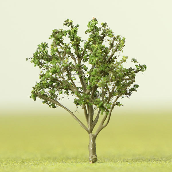 Pitch apple model tree