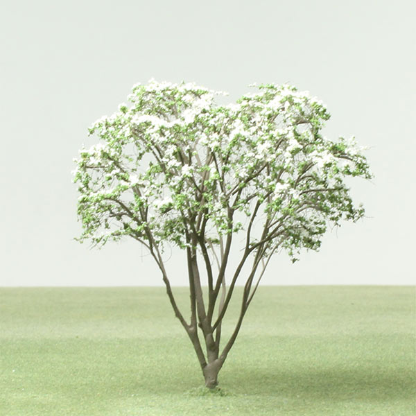 Japanese flowering dogwood model tree
