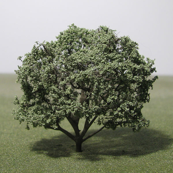 Cornelian cherry dogwood model tree
