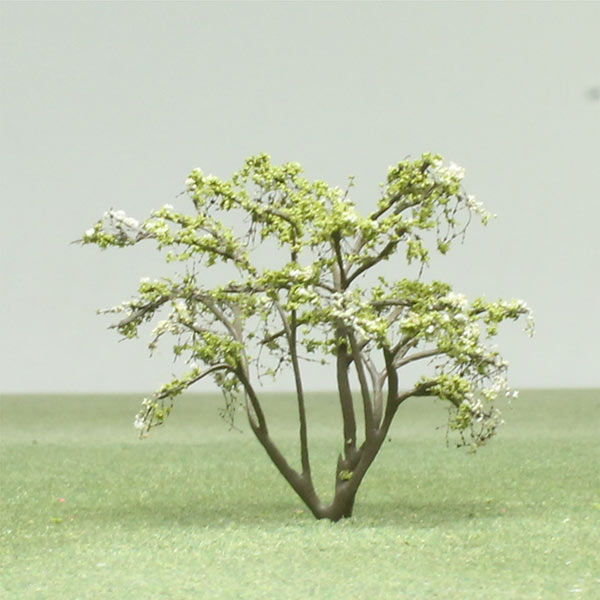 Dogwood Norman Hadden model tree