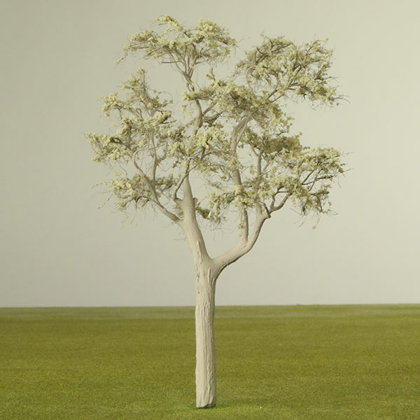 Lemon-Scented Gum model tree