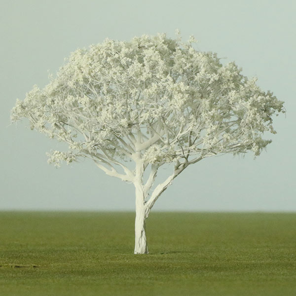 Royal poinciana model tree