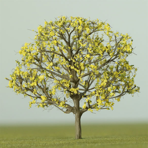 Beech model tree