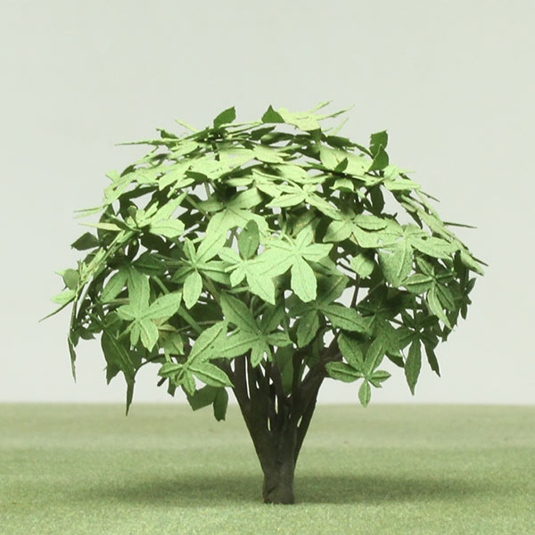 Japanese aralia model tree