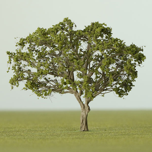 Fig model tree