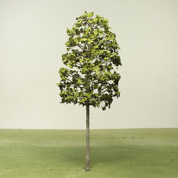 Indian Laurel Fig model tree
