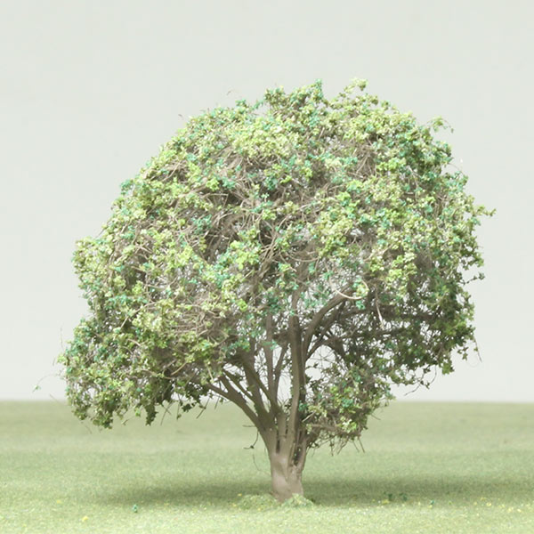 Japonica model tree