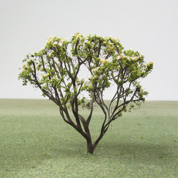 Frangipani model tree