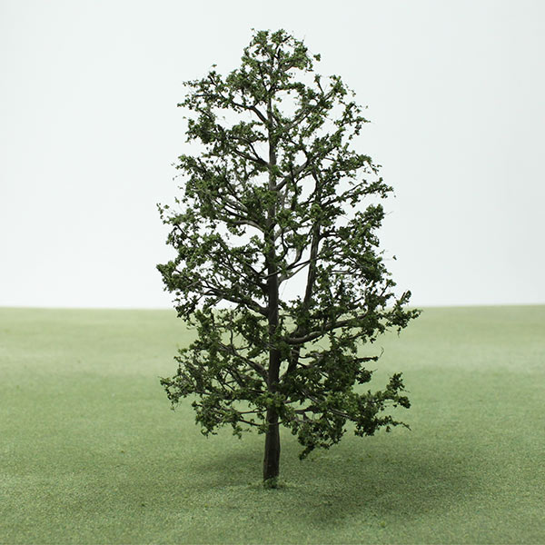 European ash model tree