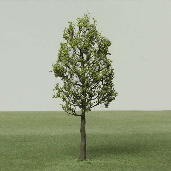 European Ash model tree