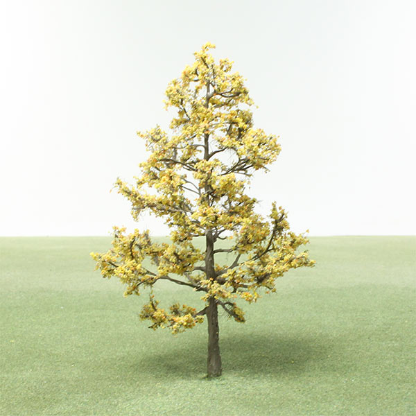 Ginko species model trees