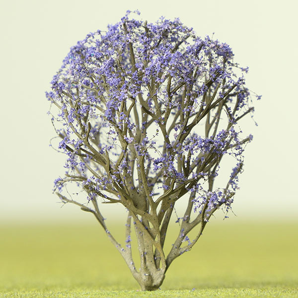 Multi stemmed jacaranda model tree