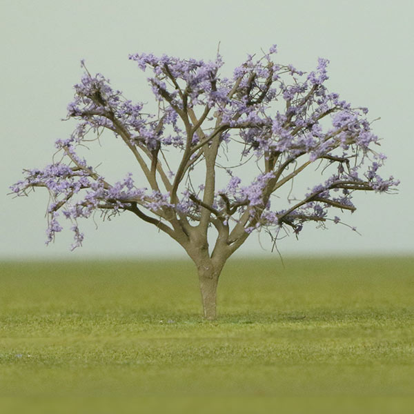 Jacaranda model tree